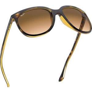 RAYBAN CATS 100 Sunglasses in Tortoise
